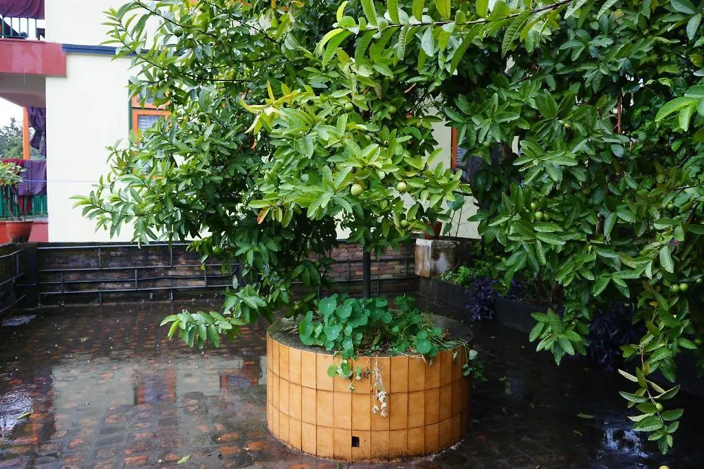 Bed & Breakfast Happiness Guest House 1 Kathmandu
